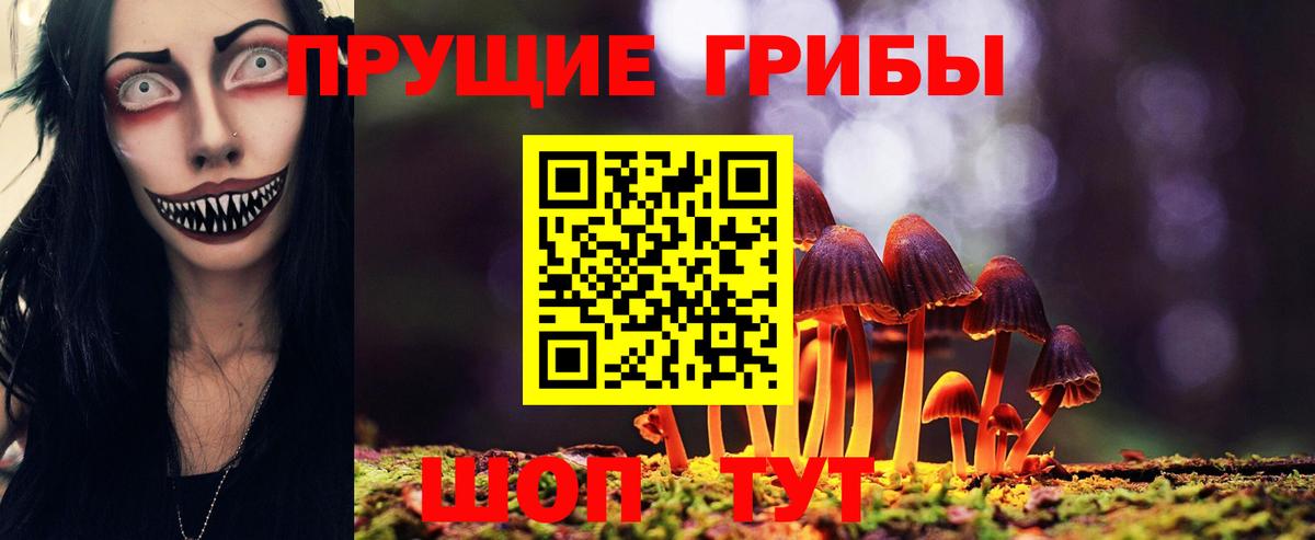 Галлюциногенные грибы Cubensis Будённовск